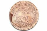 Polished Saharan Desert Jasper Dish - Morocco #326939-1